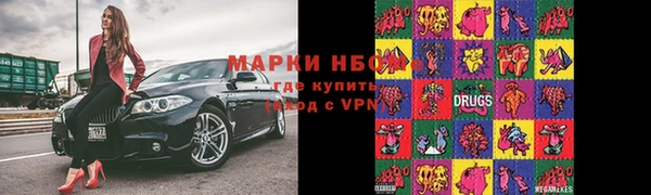 ГАЛЛЮЦИНОГЕННЫЕ ГРИБЫ Пестово