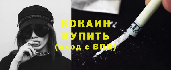 прущая мука Вяземский