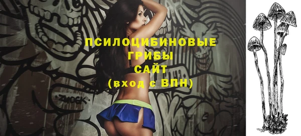 эйфоретик Переславль-Залесский