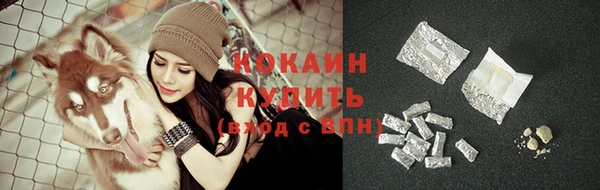 ГАЛЛЮЦИНОГЕННЫЕ ГРИБЫ Пестово