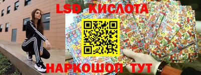 шишки Абакан