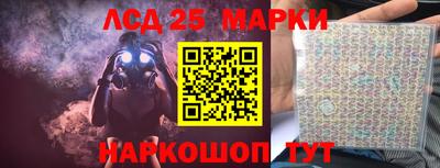 шишки Абакан