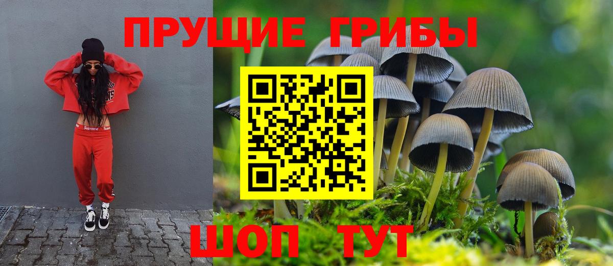 Саров  Псилоцибиновые грибы мухоморы  Галлюциногенные грибы прущие грибы  Вход с VPN 